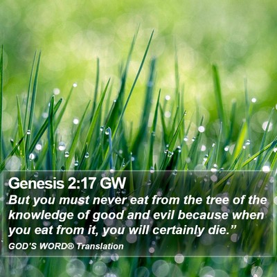 Genesis 2:17 GW Bible Verse Image