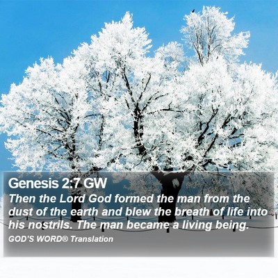 Genesis 2:7 GW Bible Verse Image