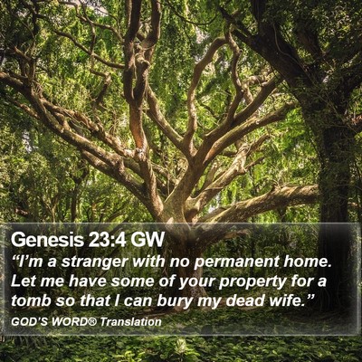 Genesis 23:4 GW Bible Verse Image