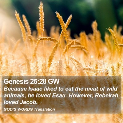 Genesis 25:28 GW Bible Verse Image
