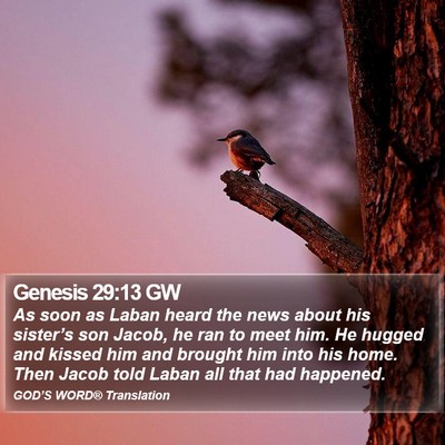 Genesis 29:13 GW Bible Verse Image