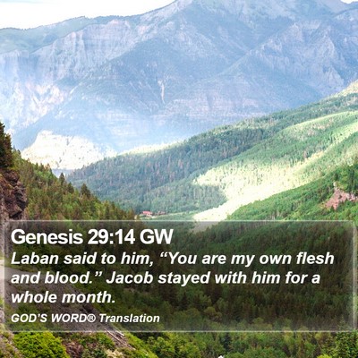 Genesis 29:14 GW Bible Verse Image