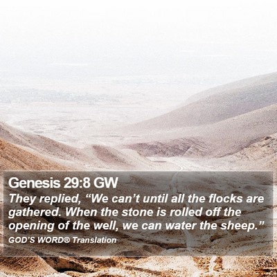 Genesis 29:8 GW Bible Verse Image