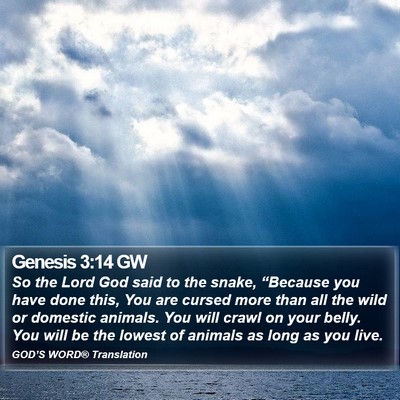 Genesis 3:14 GW Bible Verse Image