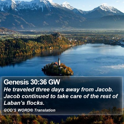 Genesis 30:36 GW Bible Verse Image