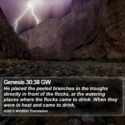 Genesis 30:38 GW Bible Verse Image
