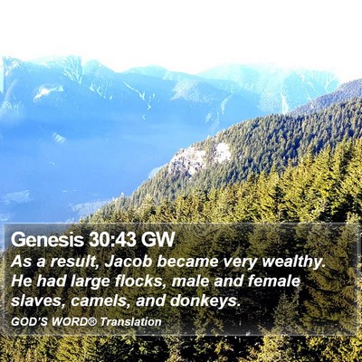 Genesis 30:43 GW Bible Verse Image