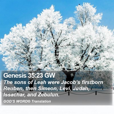 Genesis 35:23 GW Bible Verse Image