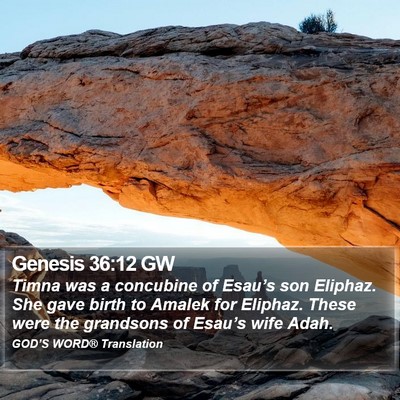 Genesis 36:12 GW Bible Verse Image