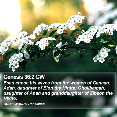 Genesis 36:2 GW Bible Verse Image