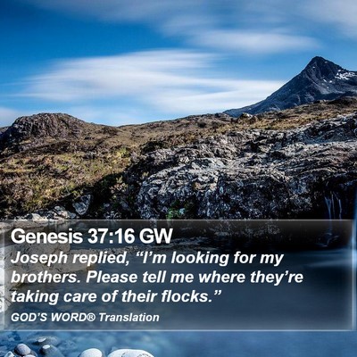 Genesis 37:16 GW Bible Verse Image
