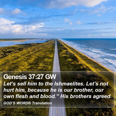 Genesis 37:27 GW Bible Verse Image
