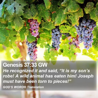 Genesis 37:33 GW Bible Verse Image