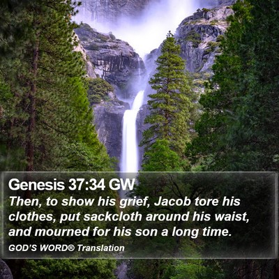 Genesis 37:34 GW Bible Verse Image