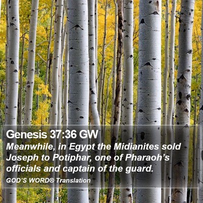 Genesis 37:36 GW Bible Verse Image