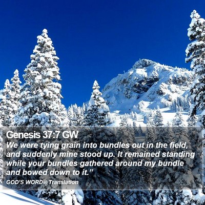 Genesis 37:7 GW Bible Verse Image