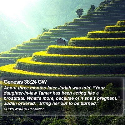 Genesis 38:24 GW Bible Verse Image