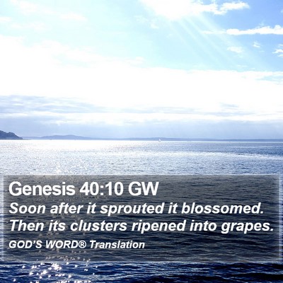 Genesis 40:10 GW Bible Verse Image
