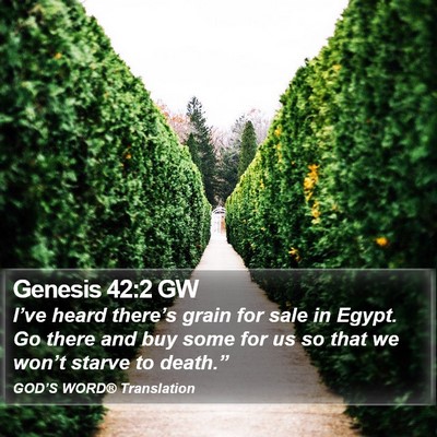 Genesis 42:2 GW Bible Verse Image