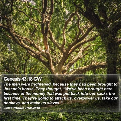 Genesis 43:18 GW Bible Verse Image