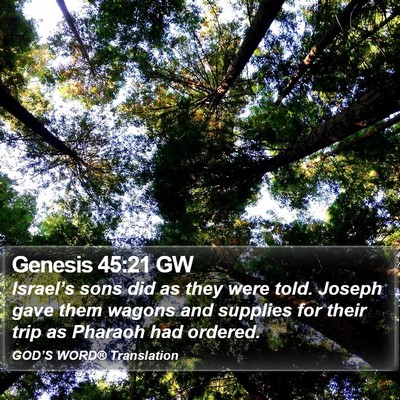 Genesis 45:21 GW Bible Verse Image