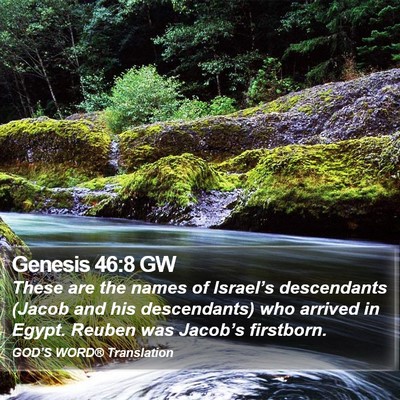 Genesis 46:8 GW Bible Verse Image