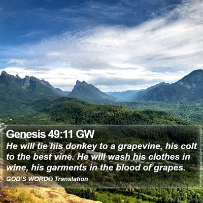 Genesis 49:11 GW Bible Verse Image