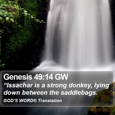 Genesis 49:14 GW Bible Verse Image