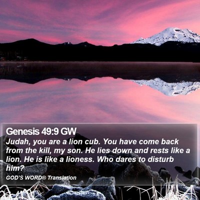 Genesis 49:9 GW Bible Verse Image