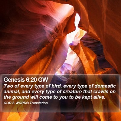 Genesis 6:20 GW Bible Verse Image