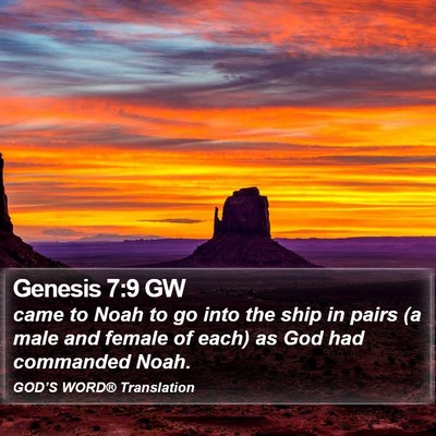 Genesis 7:9 GW Bible Verse Image