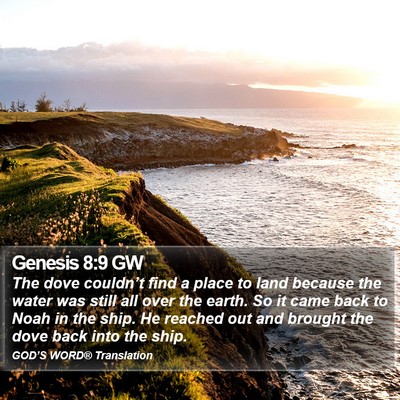 Genesis 8:9 GW Bible Verse Image