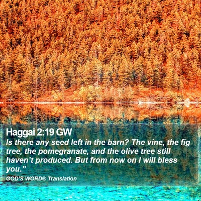 Haggai 2:19 GW Bible Verse Image