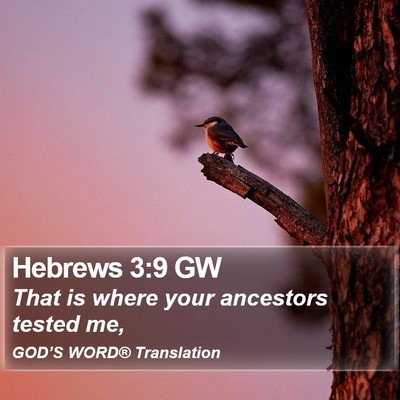 Hebrews 3:9 GW Bible Verse Image