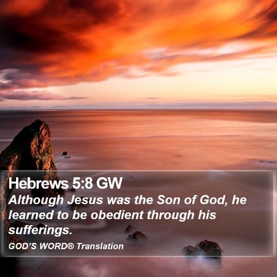 Hebrews 5:8 GW Bible Verse Image
