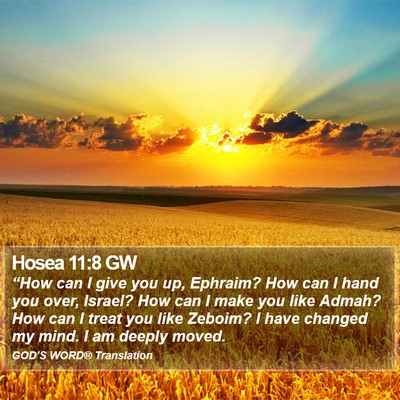 Hosea 11:8 GW Bible Verse Image