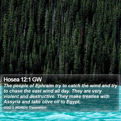 Hosea 12:1 GW Bible Verse Image