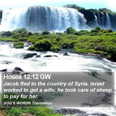 Hosea 12:12 GW Bible Verse Image
