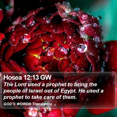 Hosea 12:13 GW Bible Verse Image