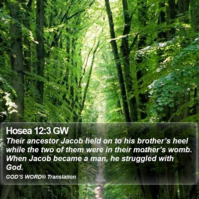 Hosea 12:3 GW Bible Verse Image