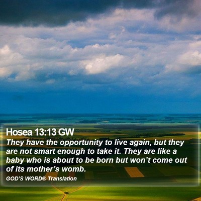 Hosea 13:13 GW Bible Verse Image