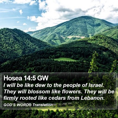 Hosea 14:5 GW Bible Verse Image