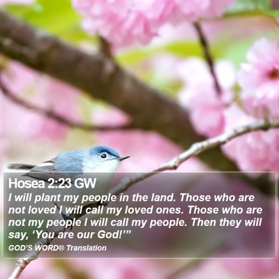 Hosea 2:23 GW Bible Verse Image