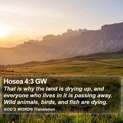 Hosea 4:3 GW Bible Verse Image