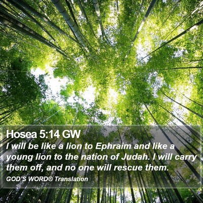 Hosea 5:14 GW Bible Verse Image