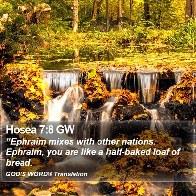 Hosea 7:8 GW Bible Verse Image