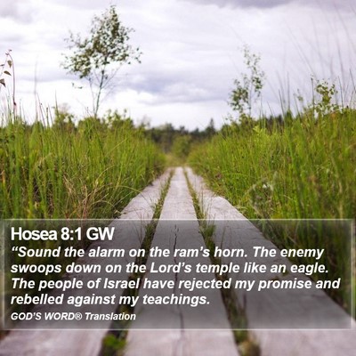 Hosea 8:1 GW Bible Verse Image