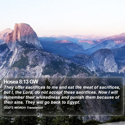 Hosea 8:13 GW Bible Verse Image