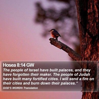 Hosea 8:14 GW Bible Verse Image