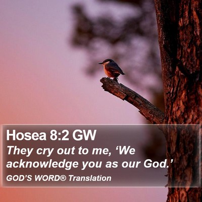 Hosea 8:2 GW Bible Verse Image